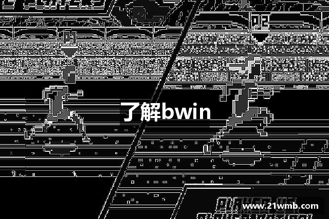 了解bwin